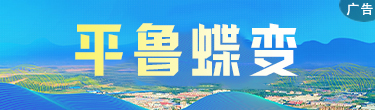 平鲁蝶变